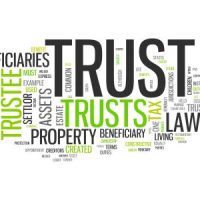 Trust Trust