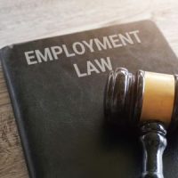 EmploymentLaw6 EmploymentLaw6